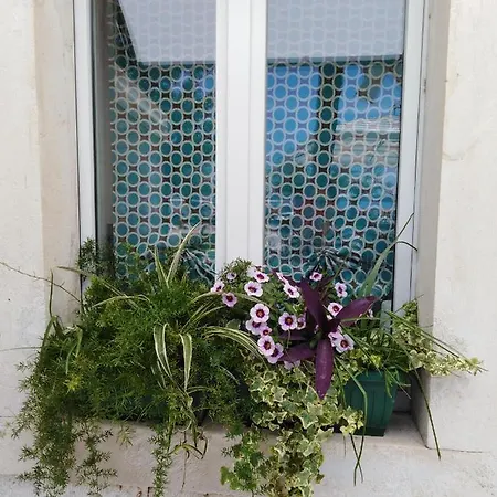 Nina Riva * Kastela